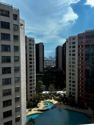 Haig 162 (D15), Apartment #559478511